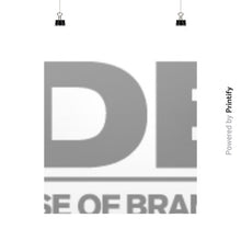 Vertical Fine Art Prints (Posters)  printify-dev-2