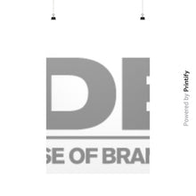 Vertical Fine Art Prints (Posters)  printify-dev-2