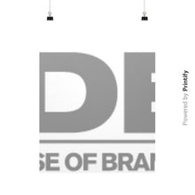Vertical Fine Art Prints (Posters)  printify-dev-2