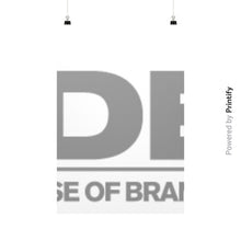 Vertical Fine Art Prints (Posters)  printify-dev-2